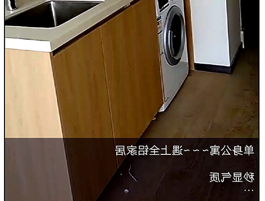 鋁師傅公寓樓房全鋁洗衣機浴室柜裝修效果圖 鋁師傅公寓樓房全鋁洗衣機浴室柜裝修效果圖