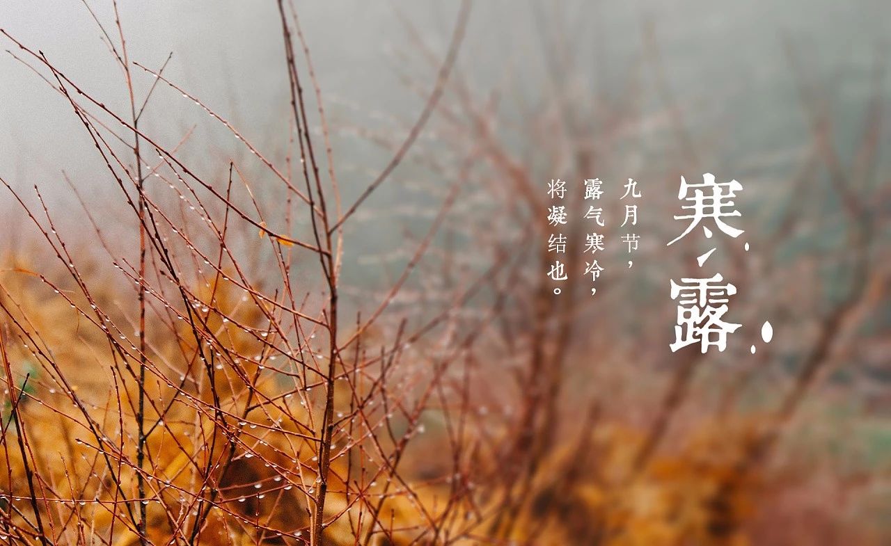 寒露 ▏百花凋，秋意濃，記得添衣哦！